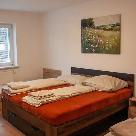 Se Spolecnym Bazenem Apartment *