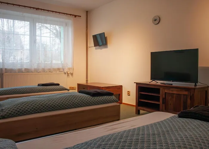 Se Společným Bazénem Zlonice